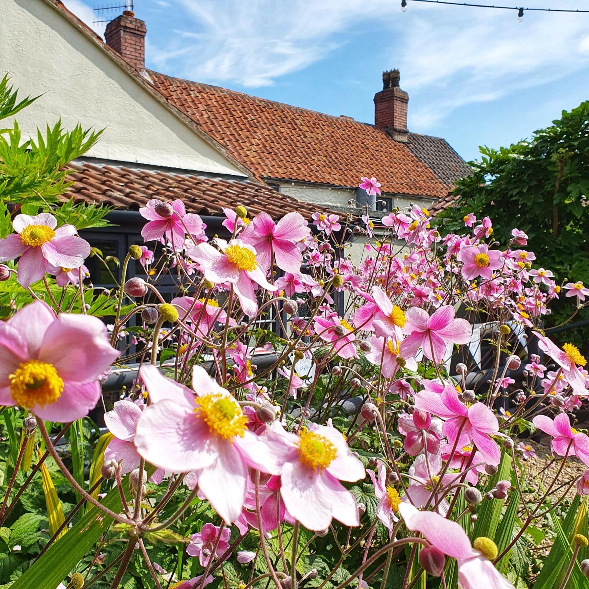 Compton Martin Woodview - Cosy 1840S Cottage In Chew Valley And Mendip Aonb מראה חיצוני תמונה